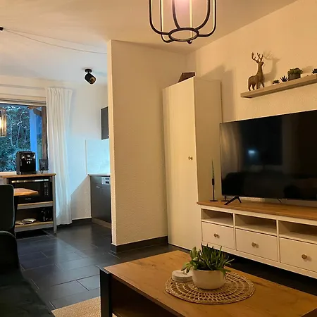 Schwarzwaldeck In Apartment Todtnauberg